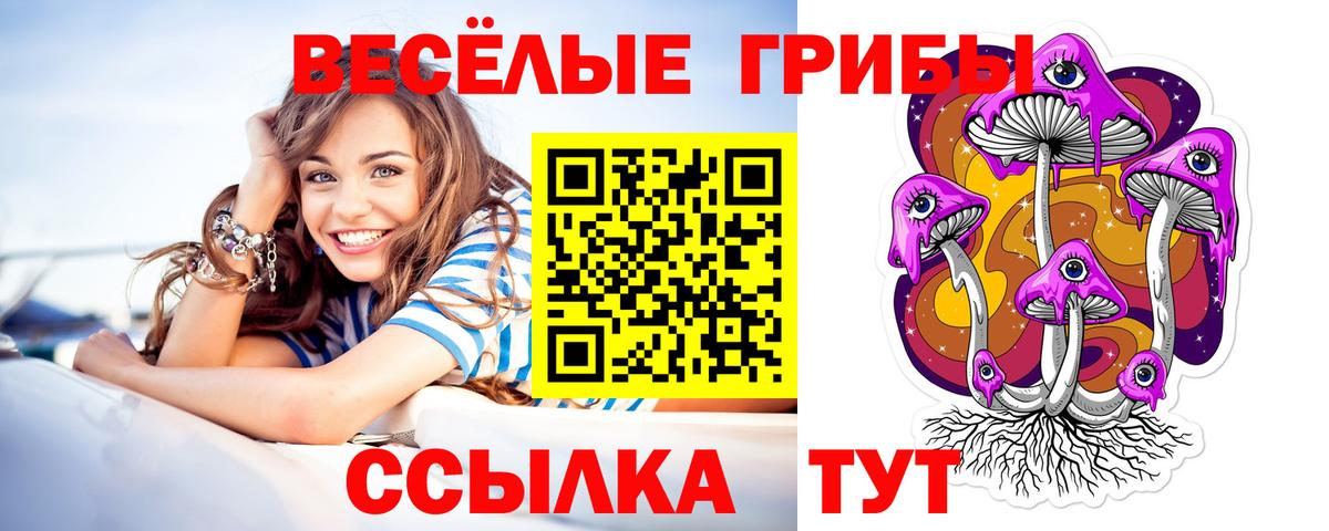 дарнет шоп  Вход с VPN  Кандалакша  Псилоцибиновые грибы мухоморы  Псилоцибиновые грибы прущие грибы 